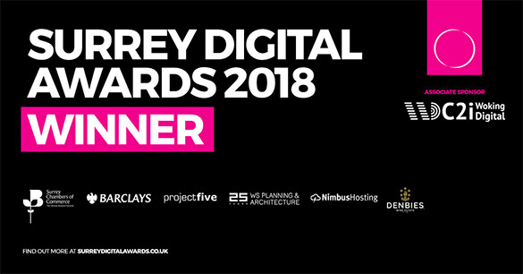 Surrey Digital Awards 2018, Winner